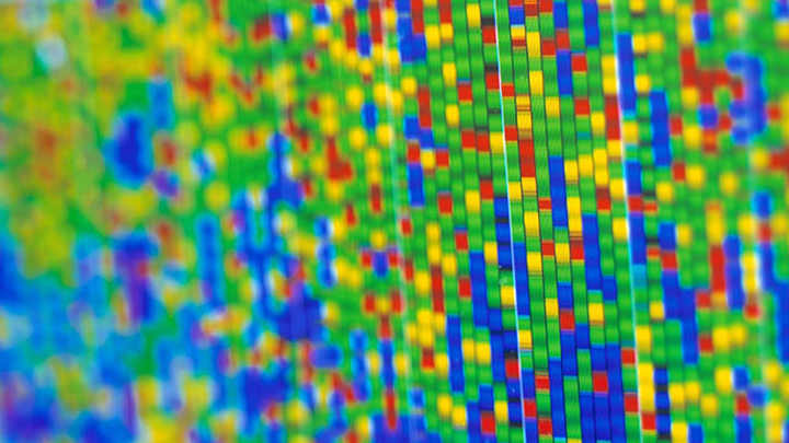 Brightly coloured illustration of a genetic map.