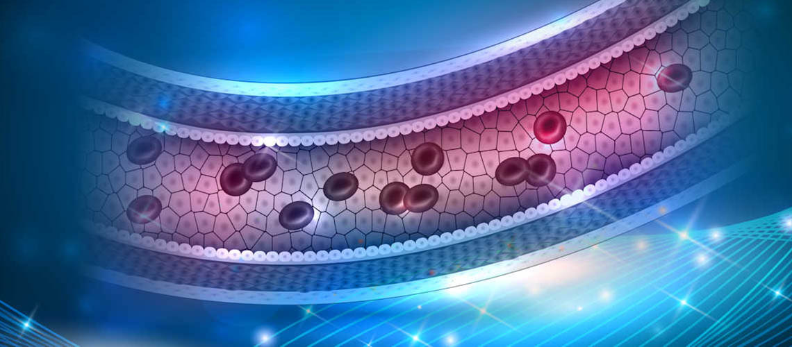3D illustration of blood cells in a healthy blood vessel.