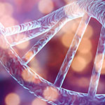 An illustration of strands of human DNA.