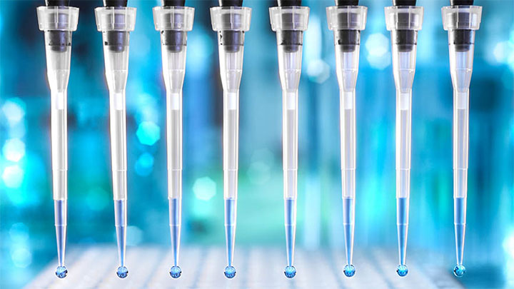 A multichannel pipette dropping blue liquid into aliquots.