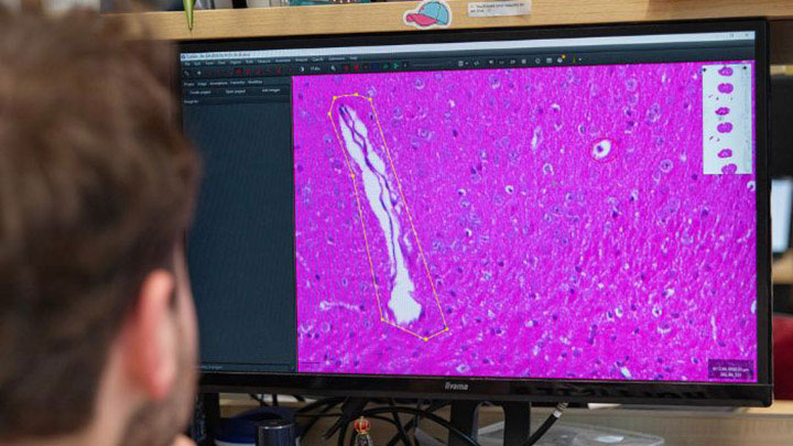 A researcher looking at a screen