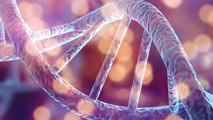 An illustration of strands of human DNA.