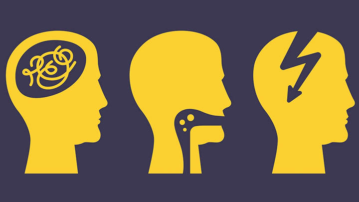 Illustration showing the brain and swallowing function.