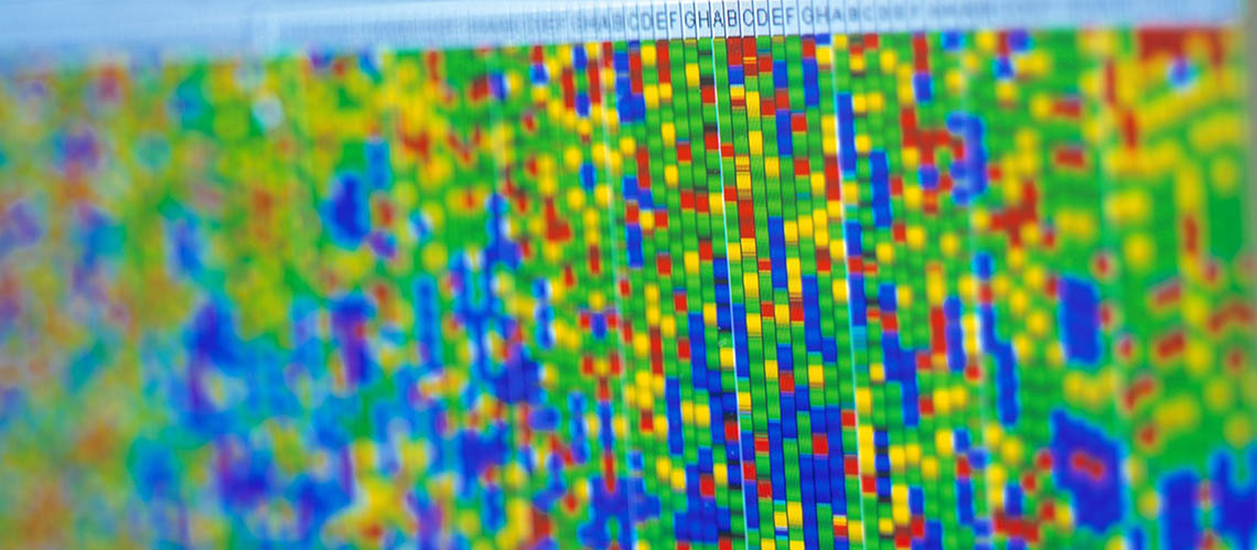 Genetic map displayed on a computer screen.