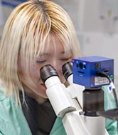 Mang, a postgraduate researcher, looking down a microscope in the lab.