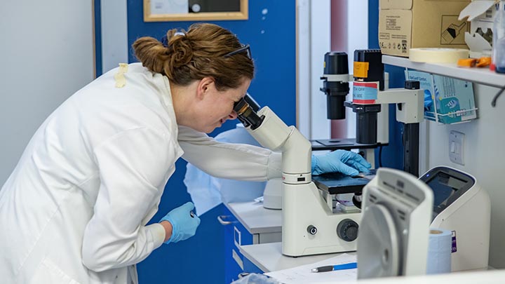 A postgraduate researcher looking down a microscope.