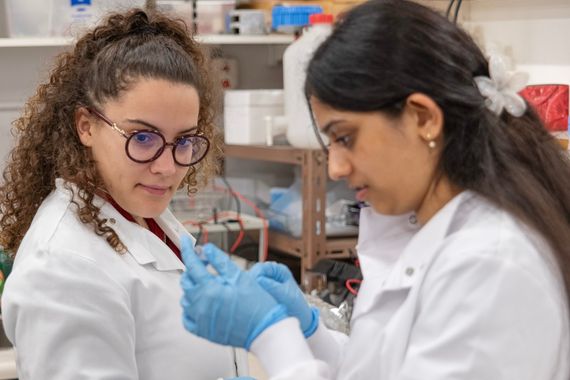 An icon showing a cog on the left and several inputs on the right, orange background.